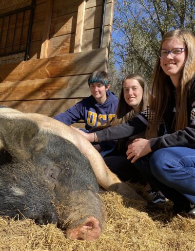 LEAPers with Sebastian, the pig who started it all!