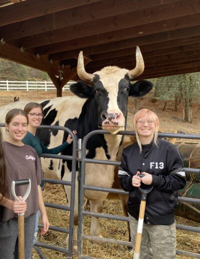 LEAPers with rescued veal calf, Duncan, who is now five years old.