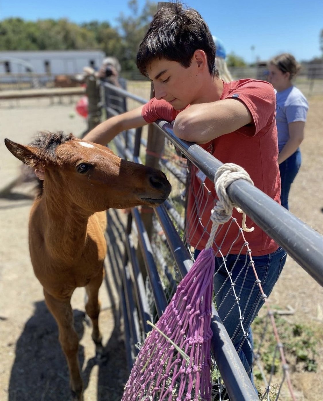LEAP student meeting foal at Jameson Humane.