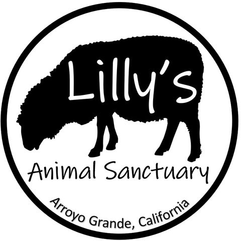 Lilly’s Animal Sanctuary