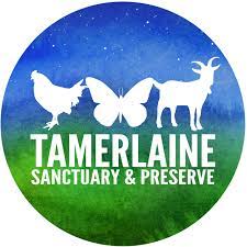Tamerlaine - Logo