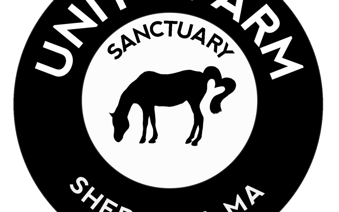 Unity Farm Sanctuary