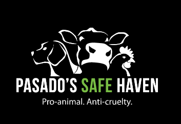 Pasados Safe Haven - logo