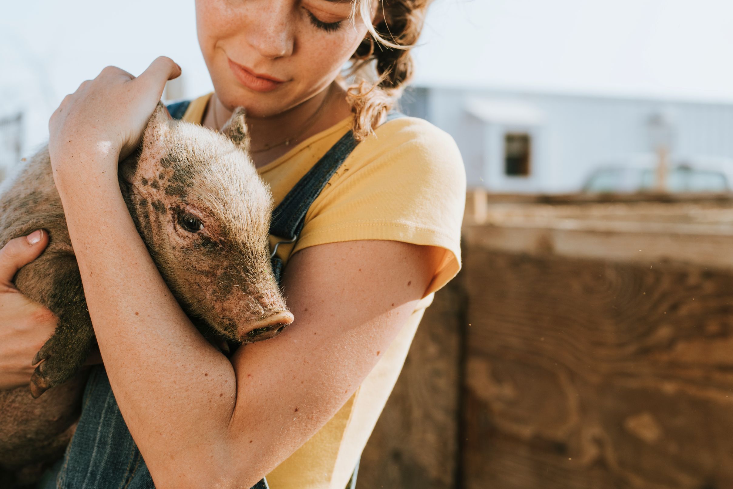 Girl Holding Baby Pig At Leap