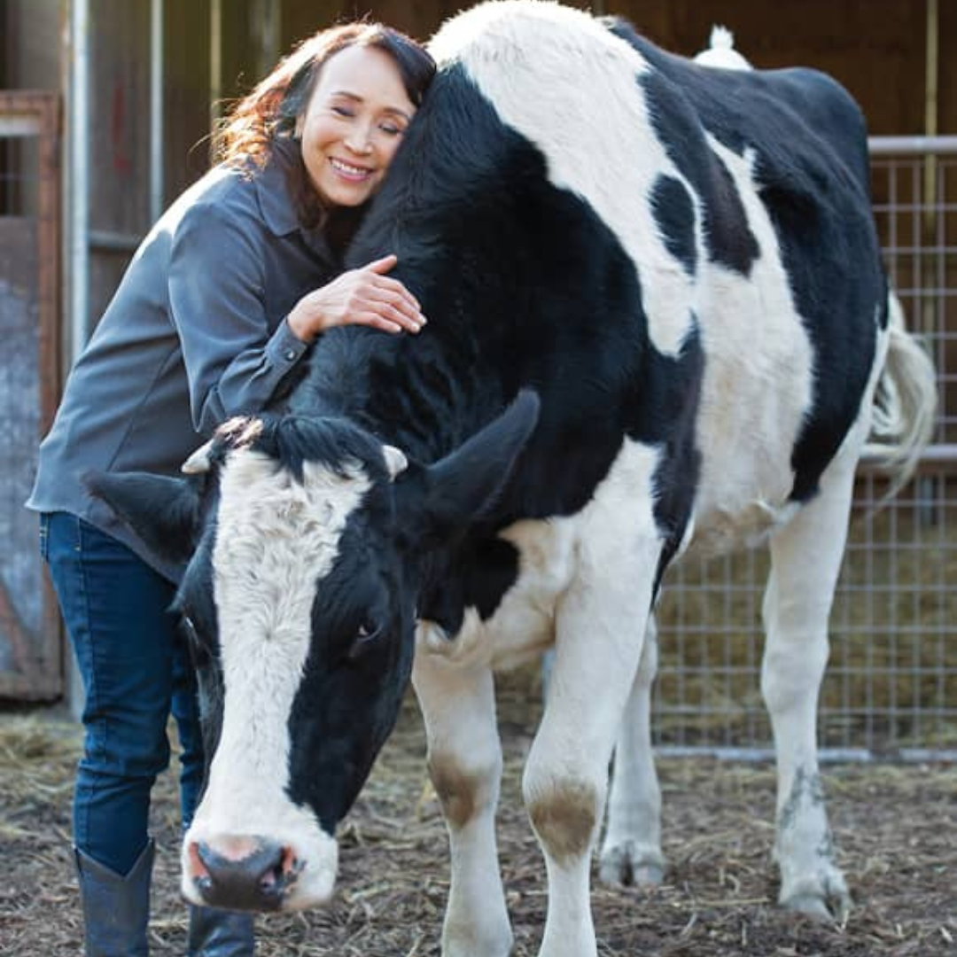 MiyokoCow Miyoko Schinner hugging a Holstein cow.