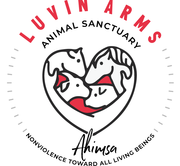 Luvin Arms Animal Sanctuary