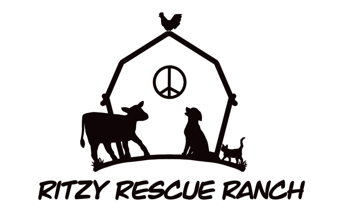Ritzy Rescue Ranch