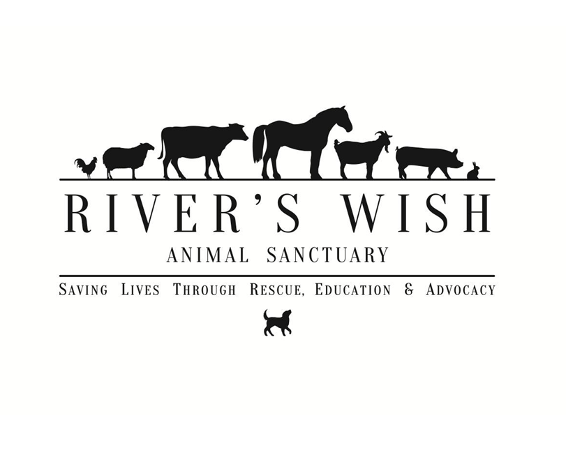 River’s Wish Animal Sanctuary