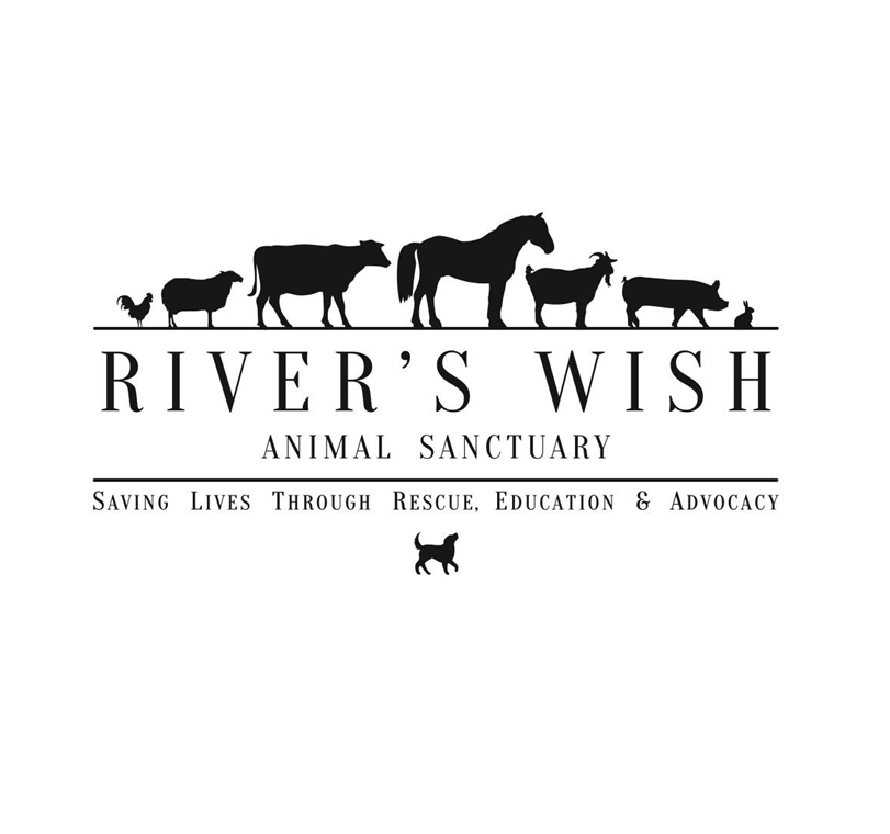 Rivers Wish Logo