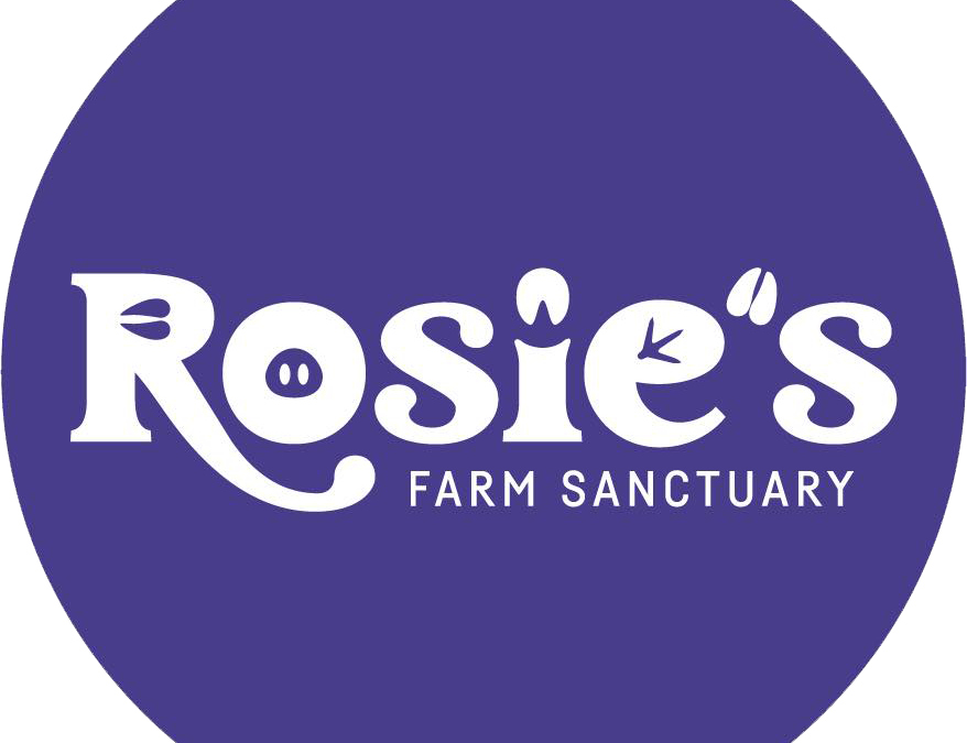 Rosie’s Farm Sanctuary