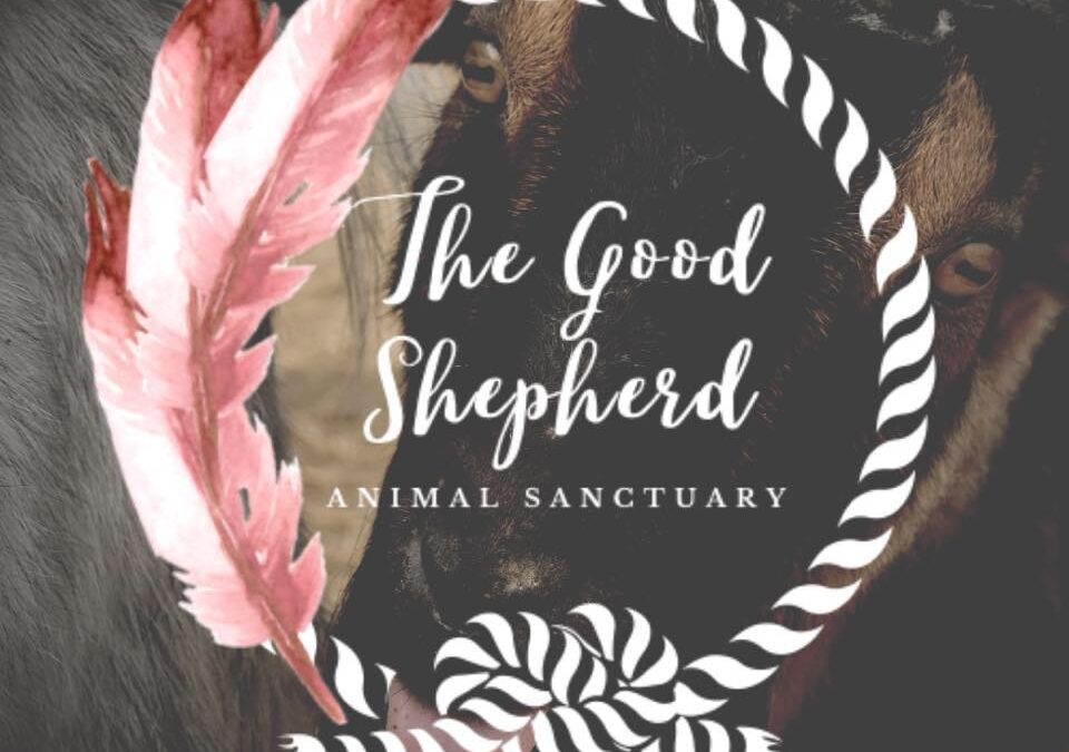 The Good Shepherd