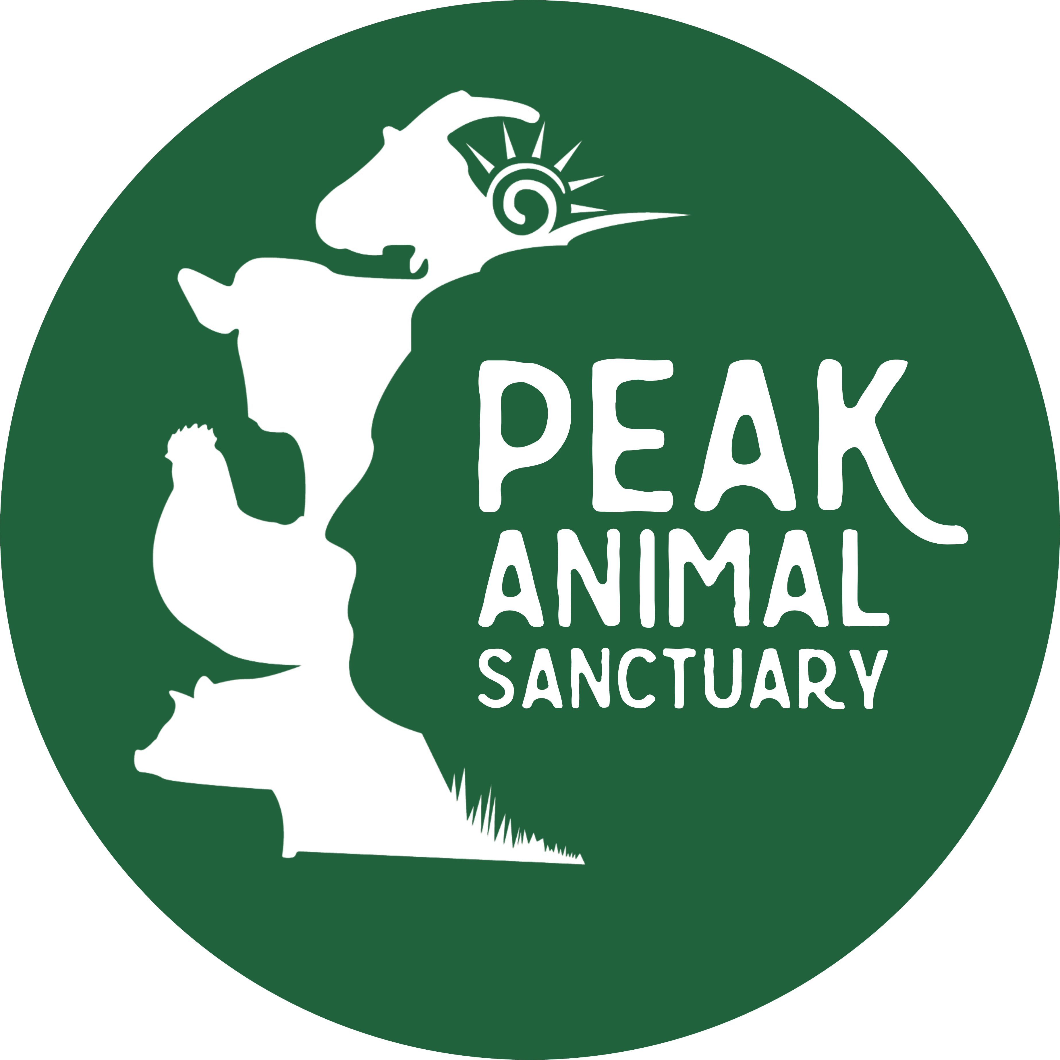 PEAK circle logo green