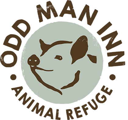 Odd Man Inn Animal Refuge