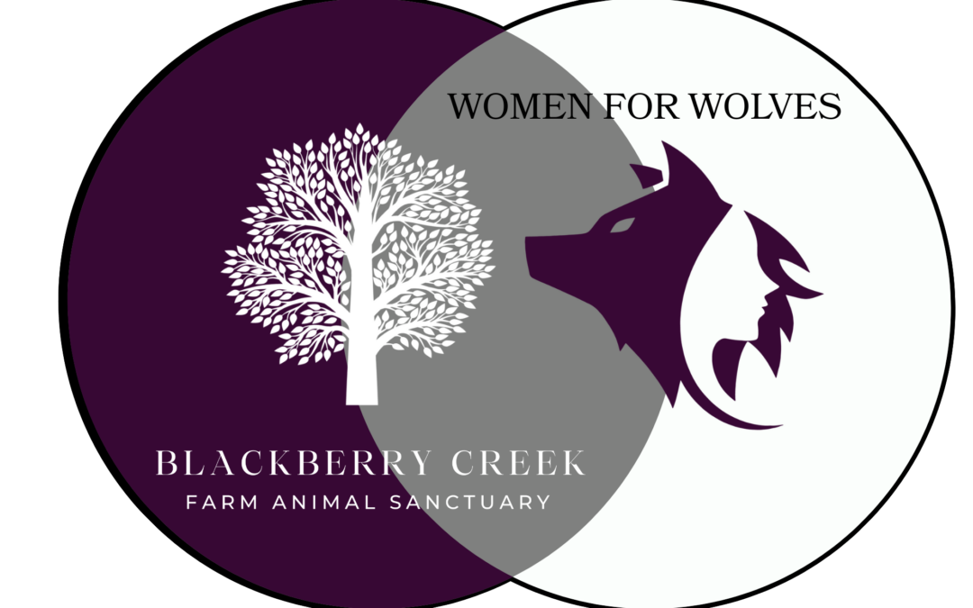Blackberry Creek Sanctuary and Women for Wolves