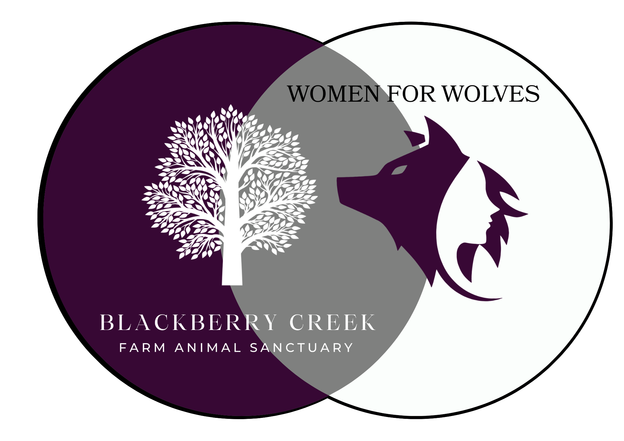 BBC AND WFW logo