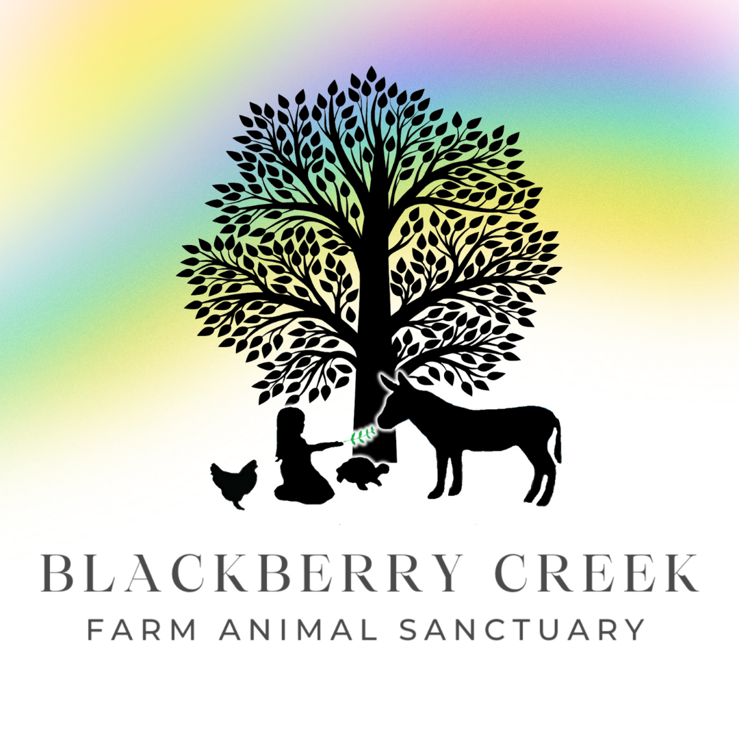 Blackberry Logo