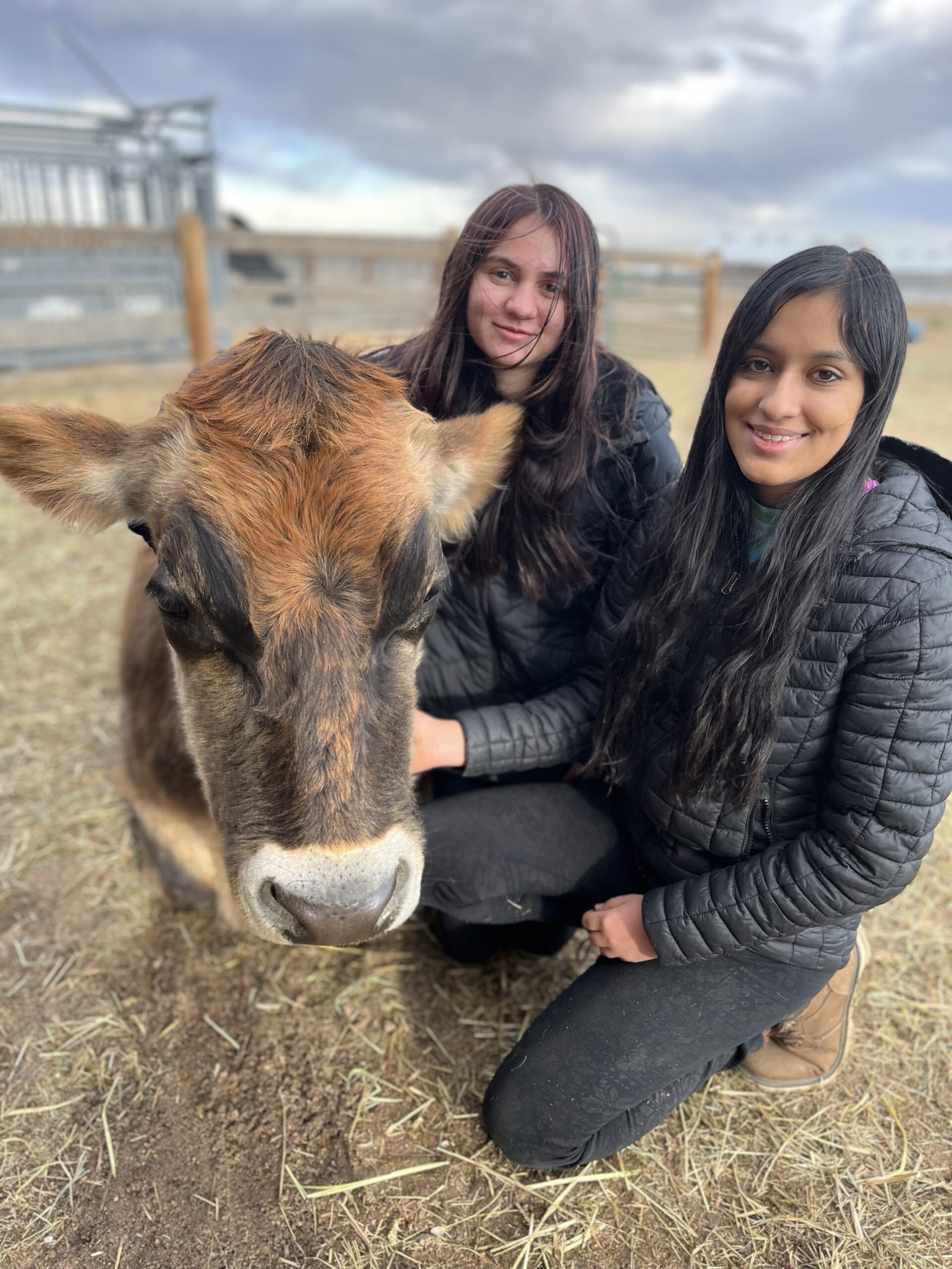Cow and LEAP Students