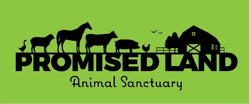 Promised Land Logo