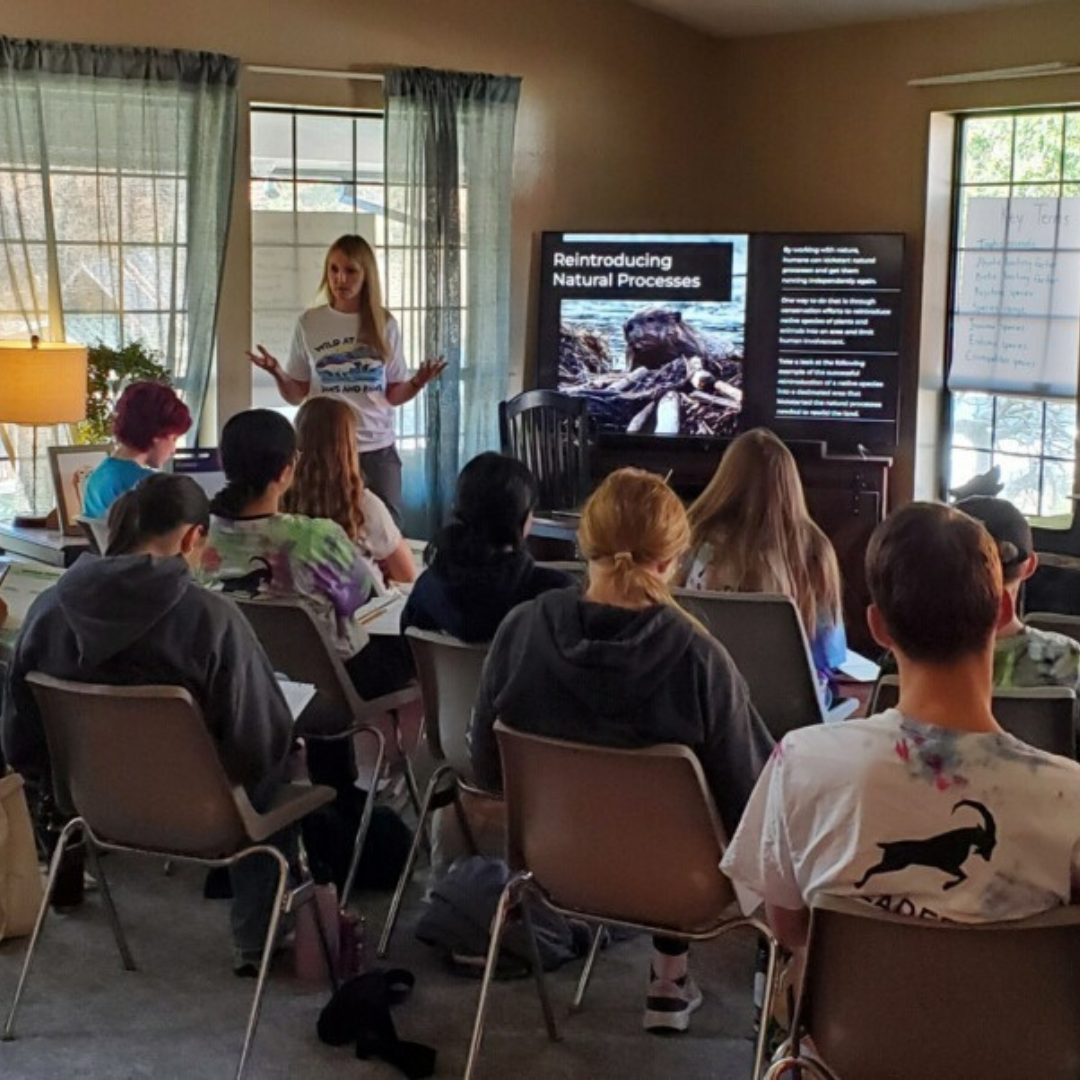 Blackberry Creek Classroom