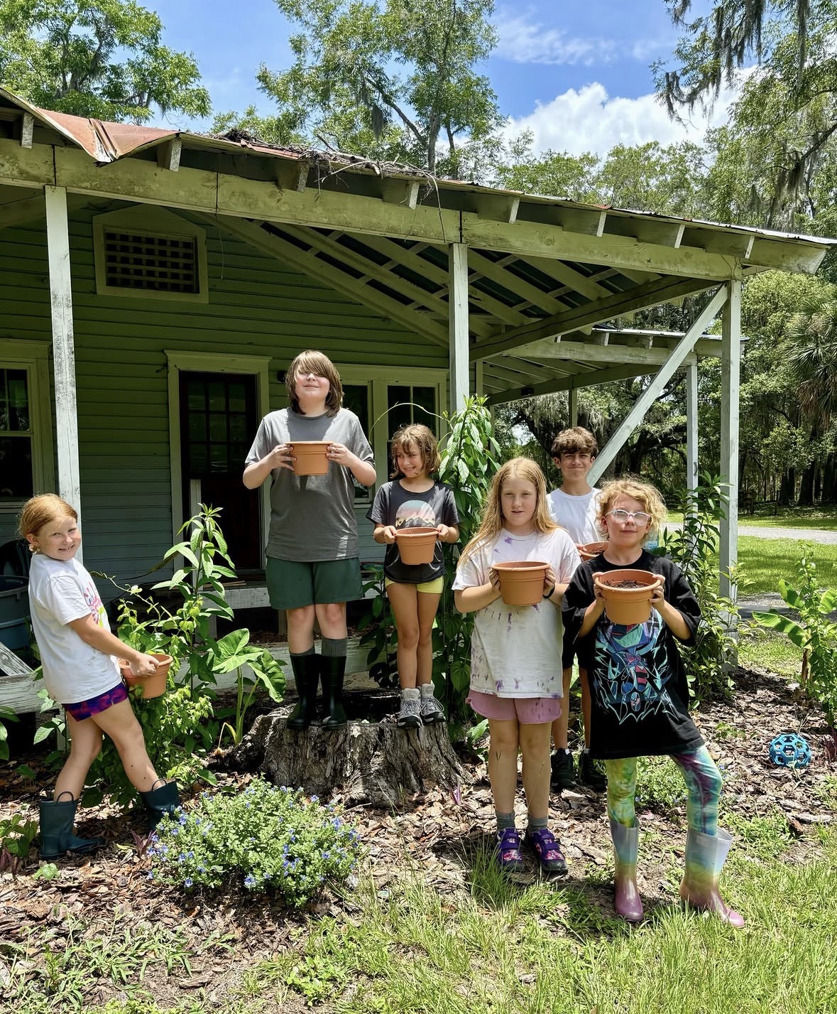 Critter Creek Plants